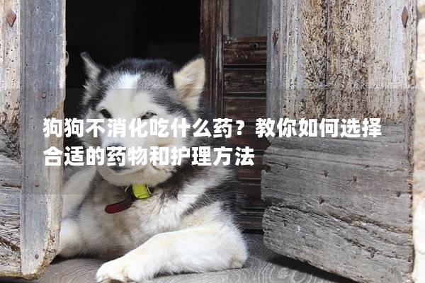 狗狗不消化吃什么藥？教你如何選擇合適的藥物和護理方法