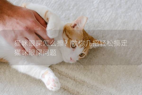 貓咪眼屎怎么擦?教你幾招輕松搞定貓咪眼屎問題 貓咪眼屎怎么擦?教你幾招輕松搞定貓咪眼屎問題