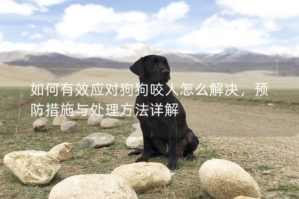 如何有效應(yīng)對(duì)狗狗咬人怎么解決，預(yù)防措施與處理方法詳解