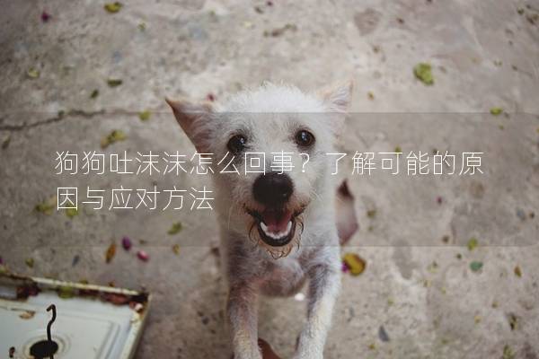 狗狗吐沫沫怎么回事？了解可能的原因與應(yīng)對方法