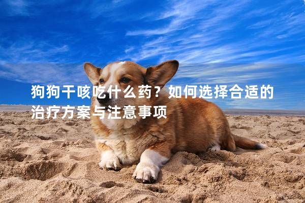 狗狗干咳吃什么藥？如何選擇合適的治療方案與注意事項
