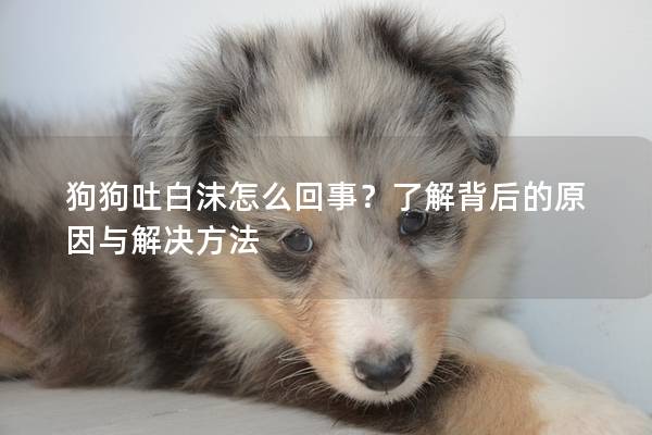 狗狗吐白沫怎么回事?了解背后的原因與解決方法 狗狗吐白沫怎么回事?了解背后的原因與解決方法
