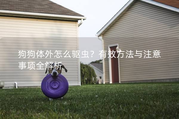 狗狗體外怎么驅蟲？有效方法與注意事項全解析