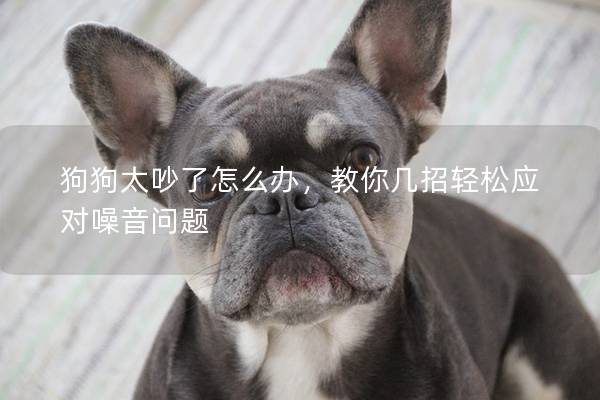 狗狗太吵了怎么辦，教你幾招輕松應對噪音問題