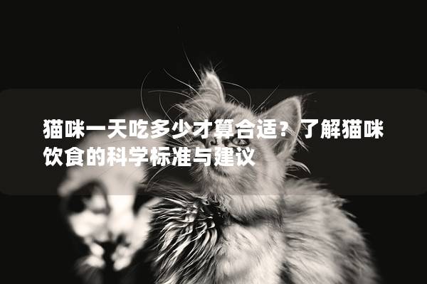 貓咪一天吃多少才算合適？了解貓咪飲食的科學標準與建議