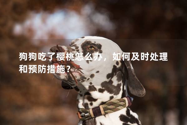 狗狗吃了櫻桃怎么辦，如何及時處理和預(yù)防措施？