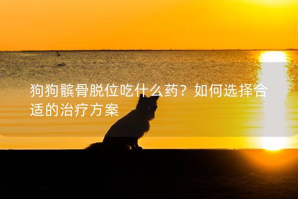 狗狗髕骨脫位吃什么藥？如何選擇合適的治療方案