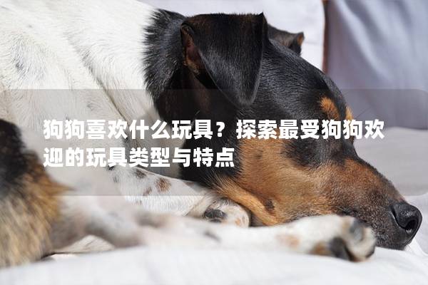 狗狗喜歡什么玩具？探索最受狗狗歡迎的玩具類型與特點