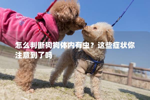 怎么判斷狗狗體內有蟲？這些癥狀你注意到了嗎