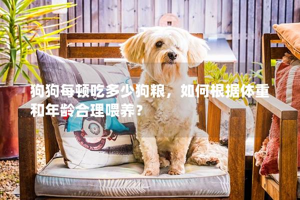 狗狗每頓吃多少狗糧,如何根據體重和年齡合理喂養? 狗狗每頓吃多少狗糧,如何根據體重和年齡合理喂養?