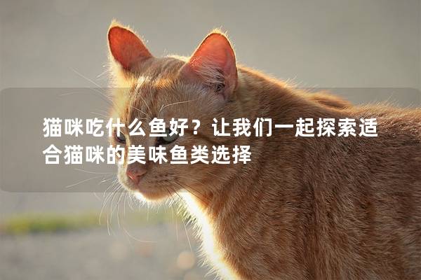 貓咪吃什么魚(yú)好？讓我們一起探索適合貓咪的美味魚(yú)類選擇