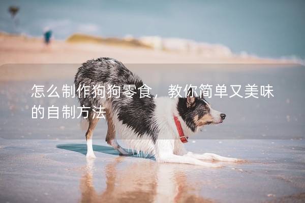 怎么制作狗狗零食,教你簡單又美味的自制方法 怎么制作狗狗零食,教你簡單又美味的自制方法
