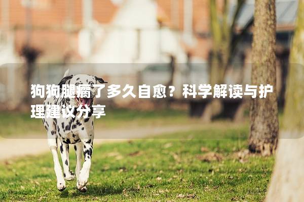 狗狗腿瘸了多久自愈？科學(xué)解讀與護(hù)理建議分享