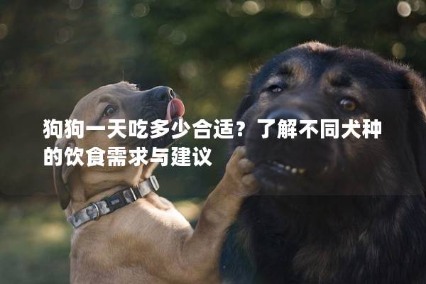 狗狗一天吃多少合適？了解不同犬種的飲食需求與建議