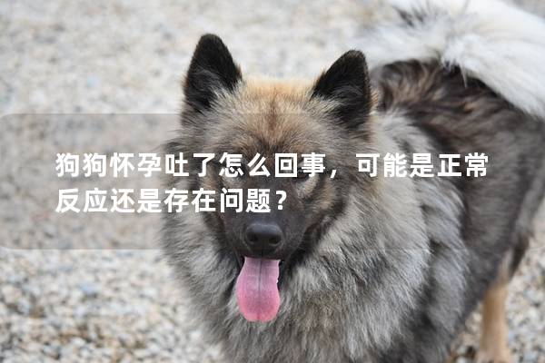 狗狗懷孕吐了怎么回事，可能是正常反應還是存在問題？