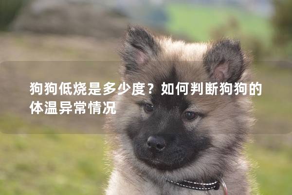 狗狗低燒是多少度？如何判斷狗狗的體溫異常情況