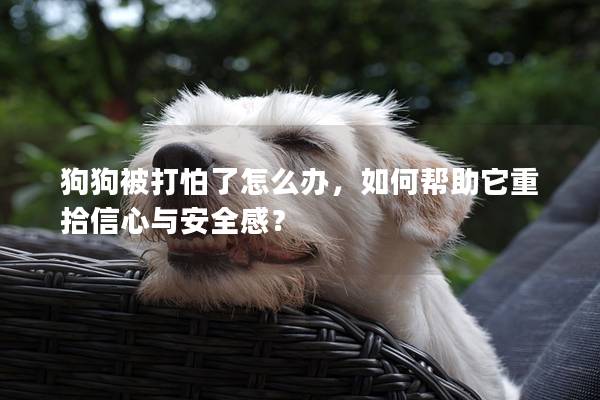 狗狗被打怕了怎么辦，如何幫助它重拾信心與安全感？