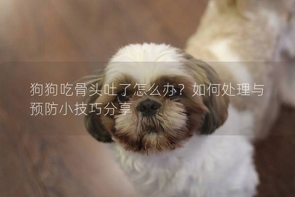 狗狗吃骨頭吐了怎么辦？如何處理與預(yù)防小技巧分享