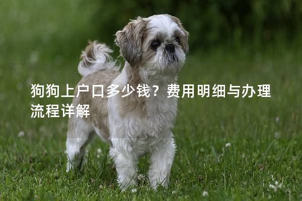 狗狗上戶口多少錢？費用明細與辦理流程詳解