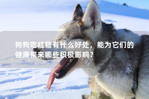 狗狗吃紅糖有什么好處，能為它們的健康帶來(lái)哪些積極影響？