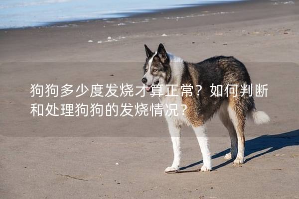 狗狗多少度發燒才算正常?如何判斷和處理狗狗的發燒情況? 狗狗多少度發燒才算正常?如何判斷和處理狗狗的發燒情況?