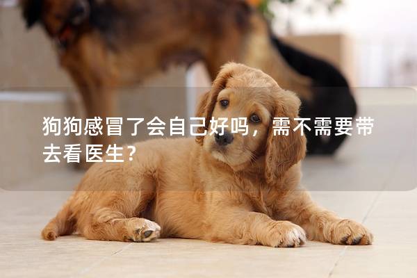 狗狗感冒了會自己好嗎，需不需要帶去看醫(yī)生？
