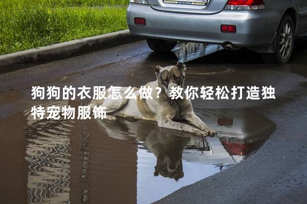 狗狗的衣服怎么做？教你輕松打造獨特寵物服飾