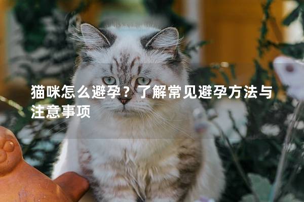 貓咪怎么避孕？了解常見避孕方法與注意事項