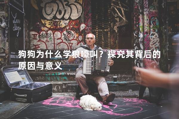 狗狗為什么學狼嚎叫？探究其背后的原因與意義