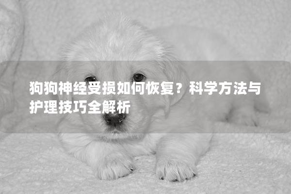 狗狗神經受損如何恢復？科學方法與護理技巧全解析