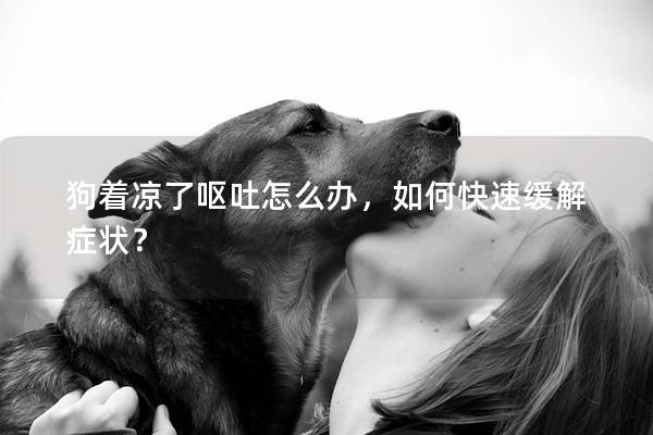 狗著涼了嘔吐怎么辦，如何快速緩解癥狀？
