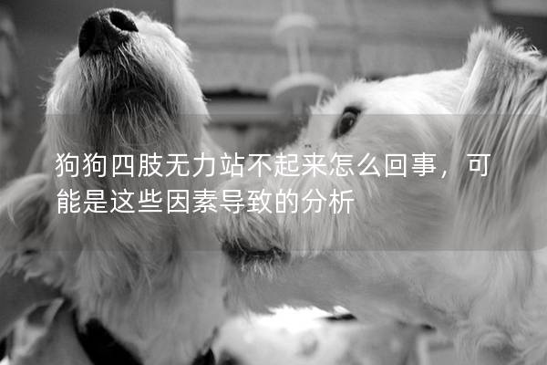 狗狗四肢無力站不起來怎么回事，可能是這些因素導致的分析
