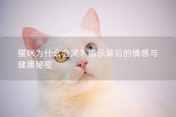 貓咪為什么會哭？揭示背后的情感與健康秘密