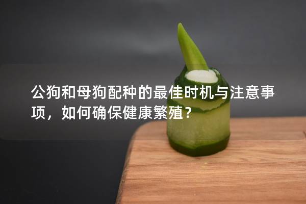 公狗和母狗配種的最佳時(shí)機(jī)與注意事項(xiàng)，如何確保健康繁殖？