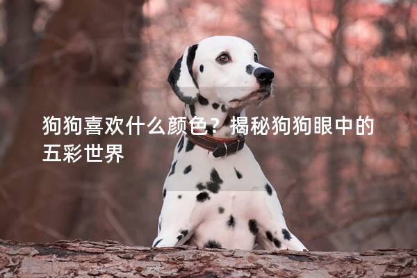 狗狗喜歡什么顏色？揭秘狗狗眼中的五彩世界