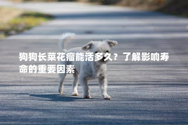 狗狗長菜花瘤能活多久？了解影響壽命的重要因素