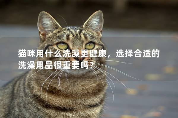 貓咪用什么洗澡更健康，選擇合適的洗澡用品很重要嗎？