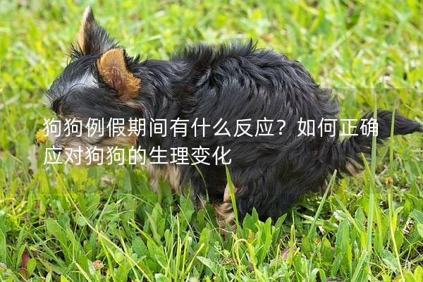 狗狗例假期間有什么反應(yīng)？如何正確應(yīng)對狗狗的生理變化