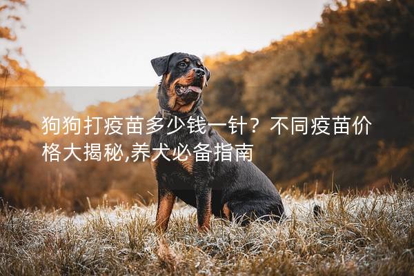 狗狗打疫苗多少錢一針？不同疫苗價格大揭秘,養犬必備指南