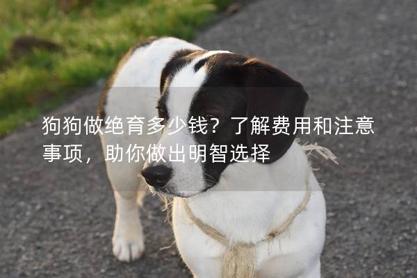 狗狗做絕育多少錢？了解費用和注意事項，助你做出明智選擇