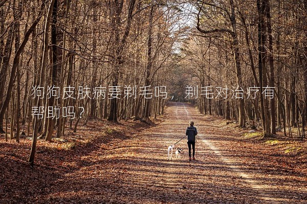 狗狗皮膚病要剃毛嗎，剃毛對治療有幫助嗎？