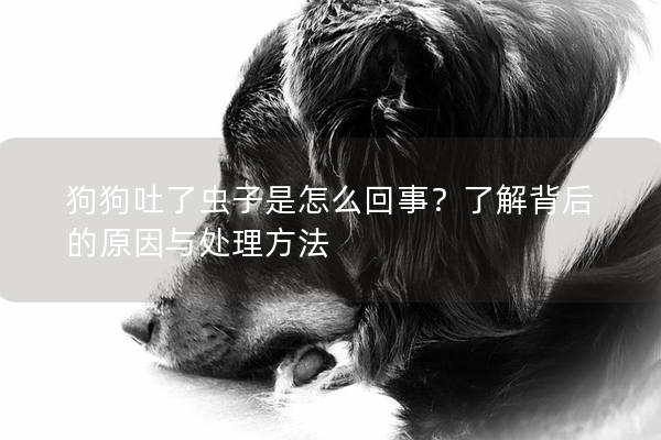狗狗吐了蟲子是怎么回事？了解背后的原因與處理方法