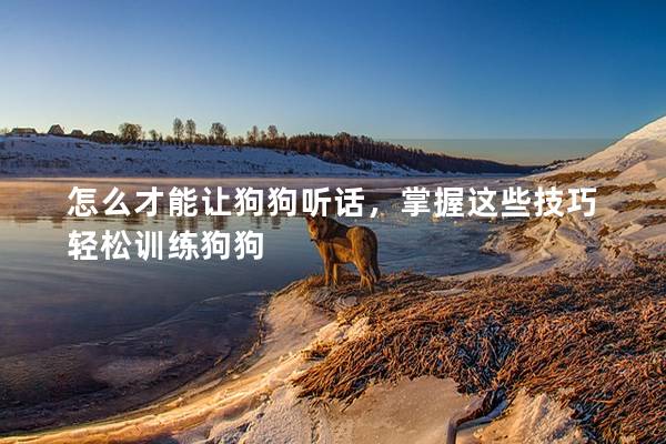怎么才能讓狗狗聽話，掌握這些技巧輕松訓練狗狗