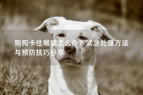 狗狗卡住喉嚨怎么辦？緊急處理方法與預防技巧分享