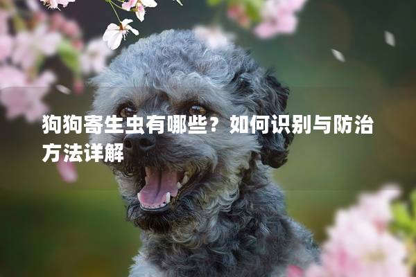 狗狗寄生蟲有哪些？如何識別與防治方法詳解