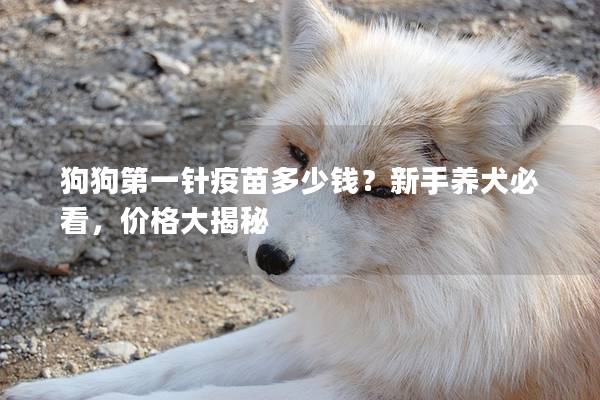 狗狗第一針疫苗多少錢？新手養犬必看，價格大揭秘