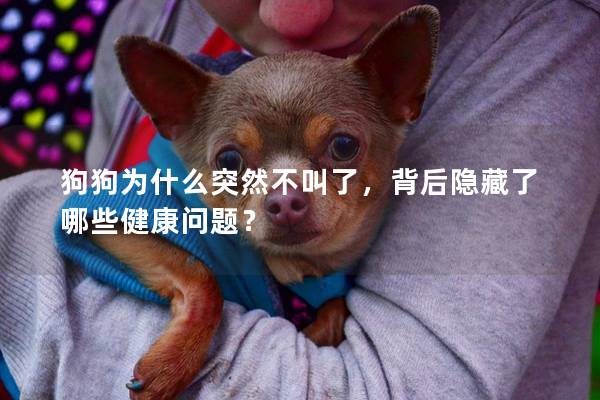 狗狗為什么突然不叫了，背后隱藏了哪些健康問題？