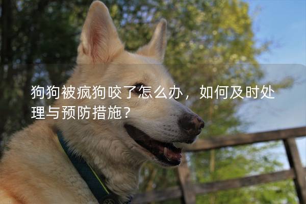 狗狗被瘋狗咬了怎么辦，如何及時(shí)處理與預(yù)防措施？