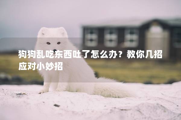狗狗亂吃東西吐了怎么辦？教你幾招應(yīng)對(duì)小妙招