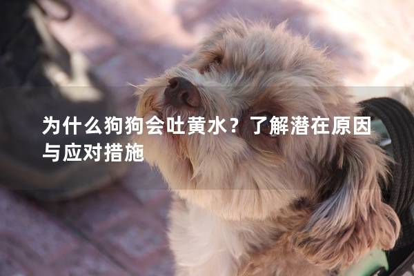 為什么狗狗會吐黃水？了解潛在原因與應對措施